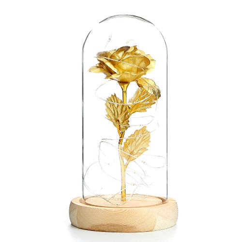 Rosa de Seda roja Kit de Rosas Bella y la Bestia y Luz de Hadas LED en la cúpula de Vidrio en la Base de Madera de Madera Regalo para el día de San Valentín Boda de cumpleaños de Aniversario (Oro)