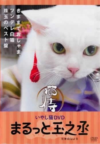 いやし猫DVD 猫侍 まるっと玉之丞 [レンタル落ち]のサムネイル