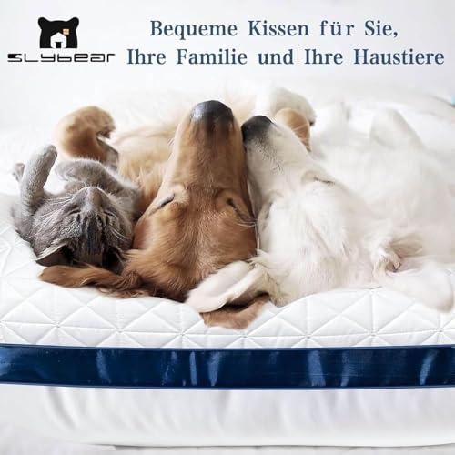 Slybear Kissen Kopfkissen 80x80 cm 2er Set,2X orthopädisches Seitenschläferkissen Nackenkissen mit Premium Mikrofaser Füllung, atmungsaktives Sitzkissen Sofakissen Schlafkissen weich & stützend