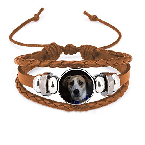 Bracelet en cuir pour chien avec image foncée pour sublimer votre lien