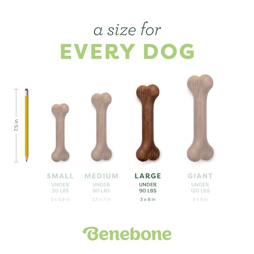 Image of Benebone Bone Durable Dog Chew Toy for Aggressive Chewers, Real Bacon, Made in USA, Large