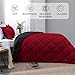 Basic Beyond Queen Comforter Set, Red and Black Comforter Set Queen Size, Reversible Bed Comforter Queen Bed Set for All Seasons, 1 Comforter (88