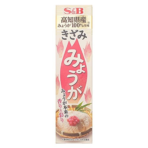 Japanese Ginger Myoga Ginger Paste in Tube 1.34 ounce 38g Japanese Seasoning
