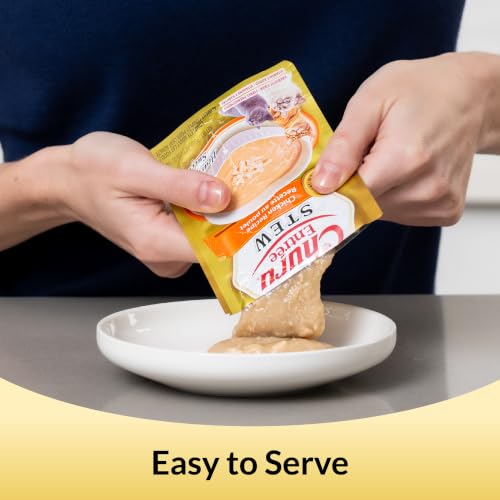 INABA Churu Entree Pate Wet Cat Food, Chicken Salmon, 6ct - image 5