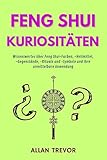 Feng Shui Kuriositäten: Wissenswertes über Feng Shui-Farben, -Heilmittel, -Gegenstände, -Rituale und -Symbole und ihre unmittelbare Anwendung (Fengh Shui auf die Spitze getrieben 3) - Allan Trevor 