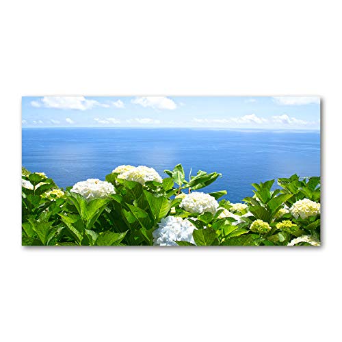 Dosseret en verre Tulup anti-projections de graisse de cuisine 120x60cm motif fleurs et mer