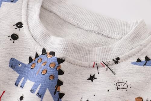 Image of AIWUHE Toddler Cotton Sweatshirt Boys Girls Pullover Long Sleeve Tops 2-6Y