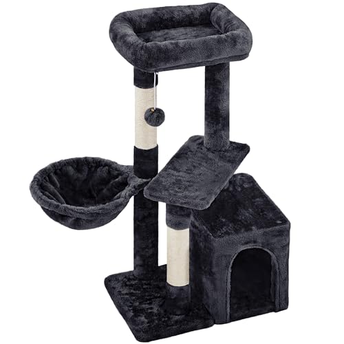 Black Cat Tree The 15 best products compared Wild Explained