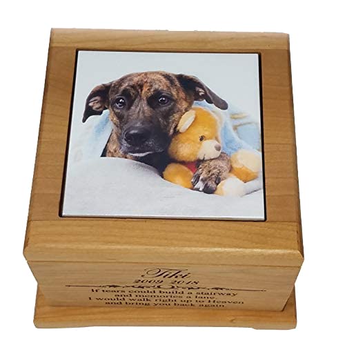 is pet cremation expensive