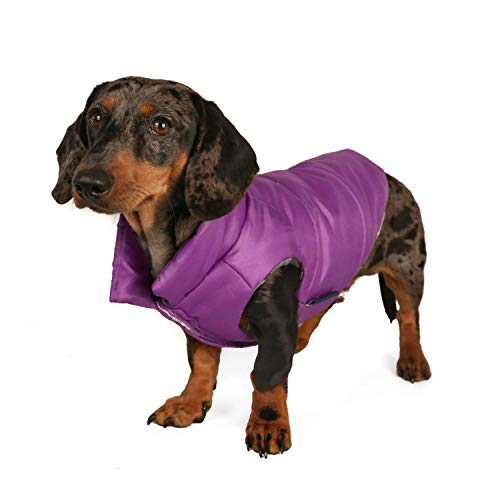 The Best Dog Raincoats of 2021 Pet Life Today
