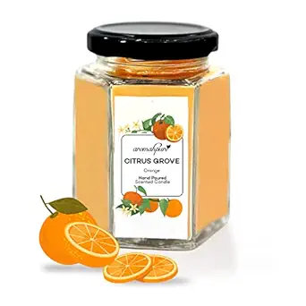 Aromahpure Scented Candle (48 hrs) (100% Soy Wax)- Handcrafted | Smoke-Free | Citrus Grove- Orange Fragrance Candles for Home & Gift Sets