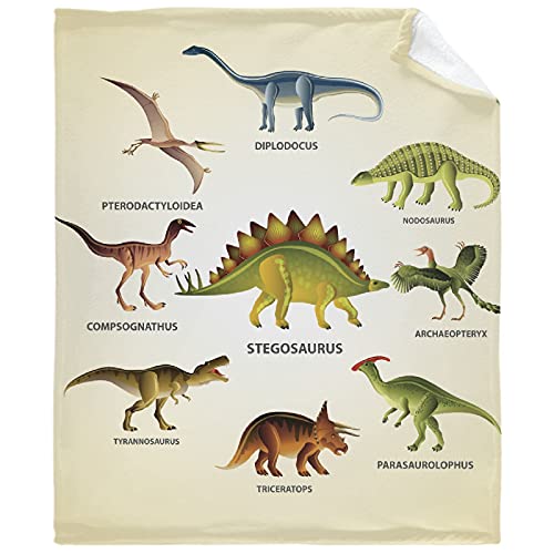 Thuswarm Colorful Ancient Dinosaur Print Flannel Blanket for Autumn Winter Gifts Warm Cozy Soft Funny Print Throw for Bed Couch Sofa 80”×60” Large for Adult