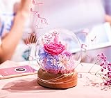 Weiches, augenschützendes, nicht blinkendes Nachtlicht, nicht zu hell, schadet Ihren Augen nicht, sehr gut geeignet für Kinderzimmer