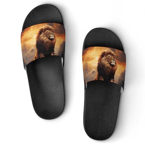 Lion King PVC Home Slippers Non Slip Shower Shoes Bathroom Slippers Sandals for Women Men