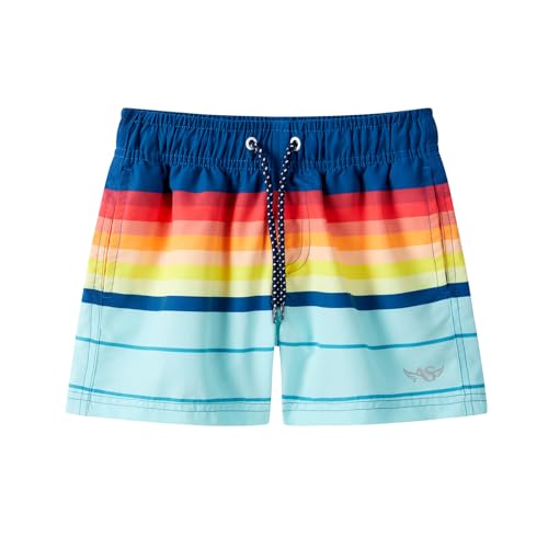 Angel season Boys Swim Trunks Toddler Kids Board Shorts...