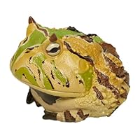 脳の形 カエル フィギュア ホワイト 41QeGbBLgyL._SS200_.jpg