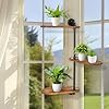Amazon.com: Homiton Rotating Window Plant Shelves 3 Tier Rustic Window ...