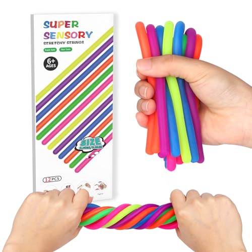 12 Pcs Sensory Toys for Kids,Fidget Stretchy Strings for Stress, Anxiety, Sensory Toys Special Needs for Autistic ADHD Autism Children Toddlers Boys...