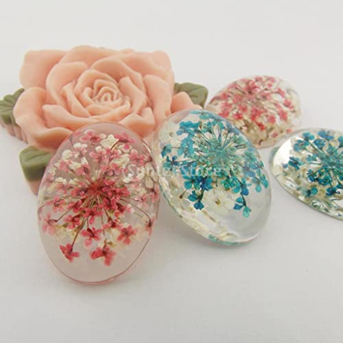 Fancyes 10 piezas decorativas de hojas secas prensadas miniatura 4