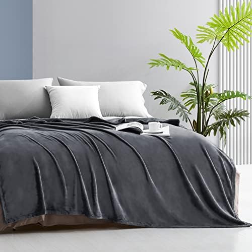 Maple&Stone Fleece Blanket Silver Grey - Fluffy Soft Sofa Throw Blanket, Warm Cozy Flannel Microfiber Travel Blanket for Bed and Couch Queen Size Lightweight Fit All Season