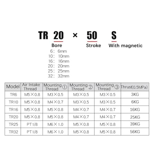 Vérin pneumatique TR32 à double tige robuste et magnétique pour guidage linéaire - 4