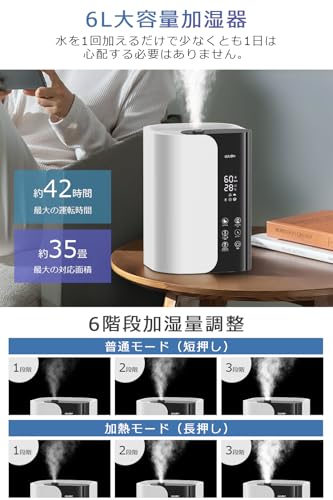 Piddiy ハイブリッド式加湿器 6L J06