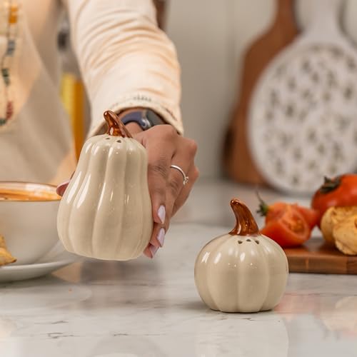 Image of Pump & Plume Salt & Pepper Shaker Set - Set of 2 Handcrafted Ceramic Shakers - Minimal Tabletop Essentials for Everyday Dining