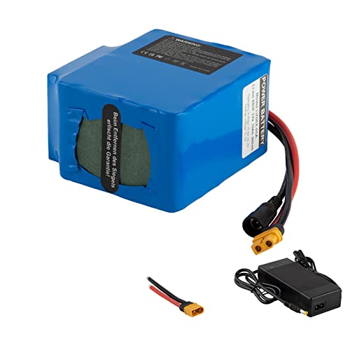 (Volle Spannung ist 25.2V, Nicht 29.4V) Ebike-Batterie 24V 15Ah Li-Ionen-Batterie elektrisch 15Ah mit Ladegerät 200W.700W 250W 300W 350W 500W Kann für Roller Spielzeug etc