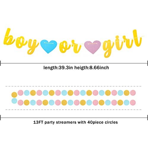 Image of Gender Reveal Decorations Blue Pink - 23pcs Tissue Paper Flowers Pom Poms Boy Or Girl Banner Tassel Garland Streamers Baby Party Supplies Gender Reveal Theme Gold Hanging Decor Ideas