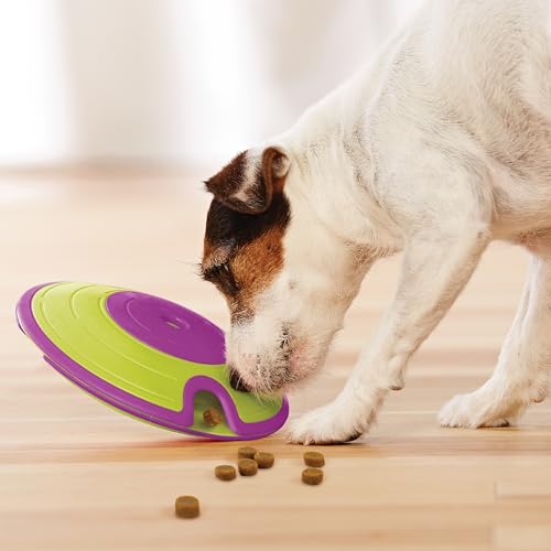 Outward Hound Nina Ottosson Hundespielzeug Intelligenz - Stufe 2 Erfahrene - Leckerli-Spender, Beschäftigung & Intelligenzspielzeug für Hunde & Welpen, bei Langeweile & mentaler Stimulation