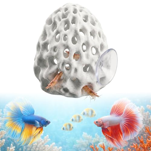 LMJOPYQ Garnelen Versteck Aquarium Aquarium Garnelen Versteck Geeignet für Aquariumdekorationen um Wassertiere zu schützen