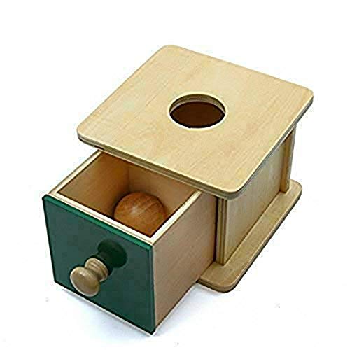 DANNI Montessori Kids Sensory Toy Baby Wood Ball Matching Box Hand-Eye Coordination Learning Educational Preschool Training Toys