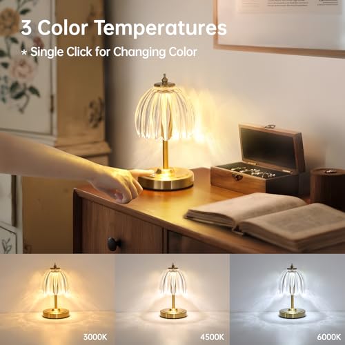 Image of Shenmoyl Tulip Small Table Lamp, 5200mAh Cordless Touch Control Mini Table Lamp with 3 Color Temps & Stepless Dimming, Perfect for Small Spaces like Dressers, Bedsides, Bookshelves (Transparent Tulip)