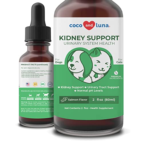 Top 10 Kidney Support For Cats of 2022 Katynel