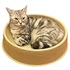KittyDoo ComfyCat Katzenbett – Runde, Bequeme, Stabile Katzenschale aus Kratzfester und Hygienischer Pappe/Papier, Recyclebares Katzen Bettchen, Idealer Schlafplatz für Deine Katze (1er Pack)