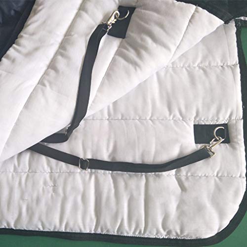 Horse Blanket 210D Waterproof Oxford Cloth Ripstor Horse Turnout Rug Medium Weight Winter Polyester Cotton Lining 250g (Blue 135cm) - Afbeelding 6