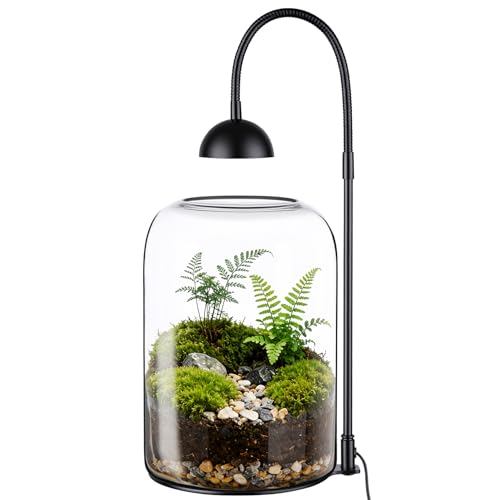 Xyingshine Glass Plant Terrarium with LED Grow Light Adjustable Ventilation Desktop Indoor Planter for Venus Fly Trap Moss & Succulents 8.2 Borosilicate Mini Greenhouse for Home Office Decor