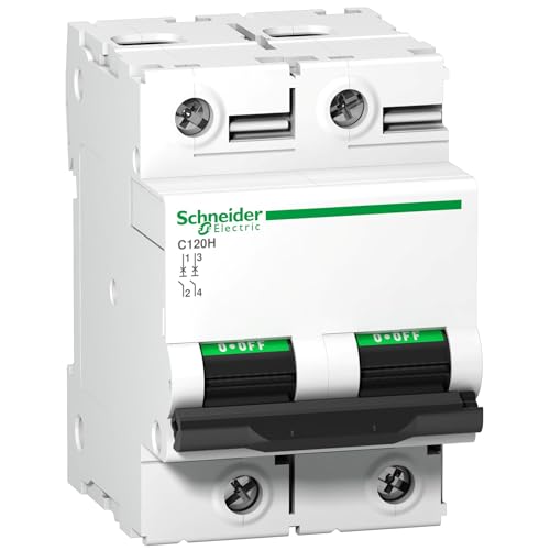 Interruptor automático Schneider para solucionar saltos de luz continuos en circuitos de 63A 2