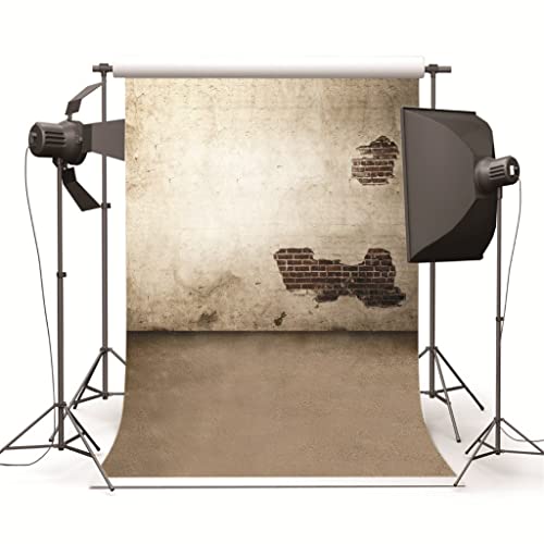 Fond de la photo murale de qualité supérieure imprimé mur brisé 150cmX220cm