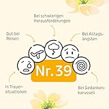 Murnauers Bachblüten Original Globulini | 10 g |Alltag in Balance | Hergestellt mit Original Bachblüten nach Edward Bach aus England