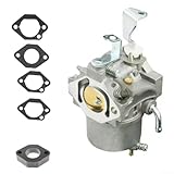 Matériaux : fabriqué à partir de matériaux de haute qualité, ce carburateur est conçu pour résister aux conditions extérieures, offrant une fiabilité durable avec un entretien moins fréquent.