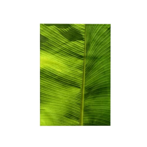 3dRose 15x22 Hand Towel - Ridged in Perfectioon Macro Nature