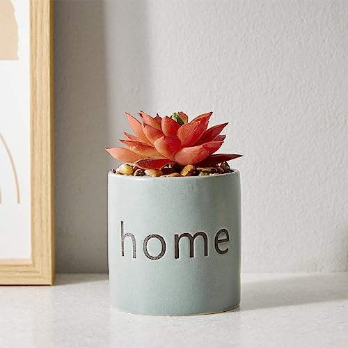 Image of Home Centre Garnet Garden Artificial Succulent Ceramic Planter
