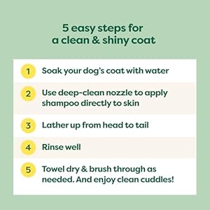 Earth-Rated-Coat-Specific-3-in-1-Short-Haired-Dog-Puppy-Shampoo-Conditioner-Deodorizer-Formulated-to-Moisturize-and-Tackle-Shedding-Refreshing-White-Tea-Basil-Scent-16-oz - Cucciolini Doodles   Earth-Rated-Coat-Specific-3-in-1-Short-Haired-Dog-Puppy-Shampoo-Conditioner-Deodorizer-Formulated-to-Moisturize-and-Tackle-Shedding-Refreshing-White-Tea-Basil-Scent-16-oz