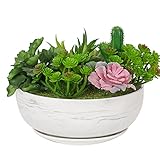 Fengson 8in Grey Marble Pattern Large Round Succulent Planter Pot Modern Flower Pot Indoor and Outdoor Planter with Marble Tray and Drainage Holes (Grey)