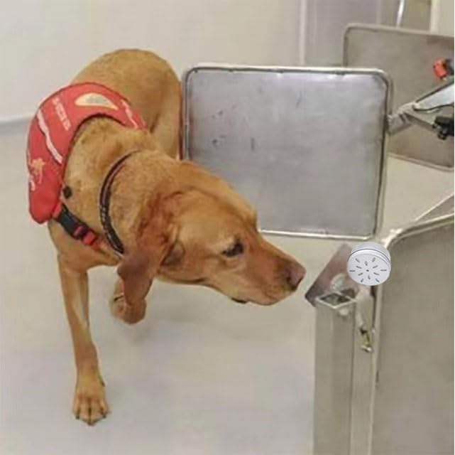 Miniatura 5 de CHENGXINWENHUA Kit de inicio de trabajo de aroma para perro, disponible en anís, abedul, clavo vetiver sabor, kit de entrenamiento de aroma, trabajo