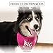 Pavilion Gift Company Big Sister Pink Paw Print Large Dog Slip on The Collar Bandanna