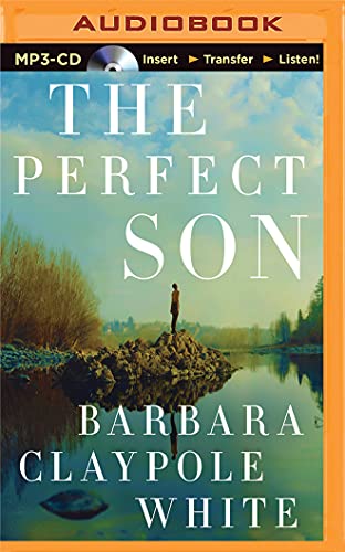 The Perfect Son 1501252291 Book Cover