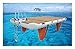 6,6 * Dock Gonfiabile per Acqua da 20 Piedi, Letto Galleggiante d'Acqua, Isola, Piattaforma di Rafting A Pontone per La Spiaggia, Lago con Materiale per Impieghi Pesanti di Pompaggio E Borsa