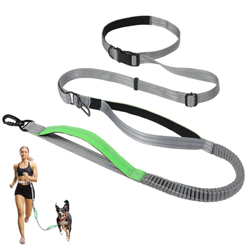 Tivray Laisse pour Chien Mains Libres 2,5 m, Ceinture Ventrale Réglable avec Poignées Doubles, Laisse Extensible pour Marche, Jogging, Randonnée,...